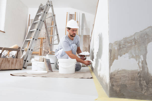 Best Residential Painting  in Brimfield, OH