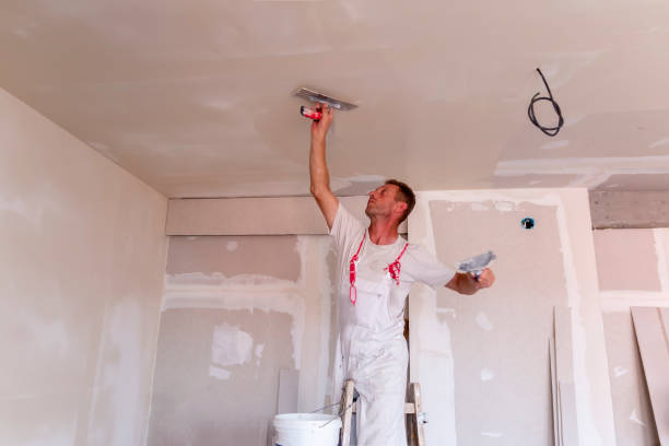 Best Wallpaper Removal and Painting  in Brimfield, OH